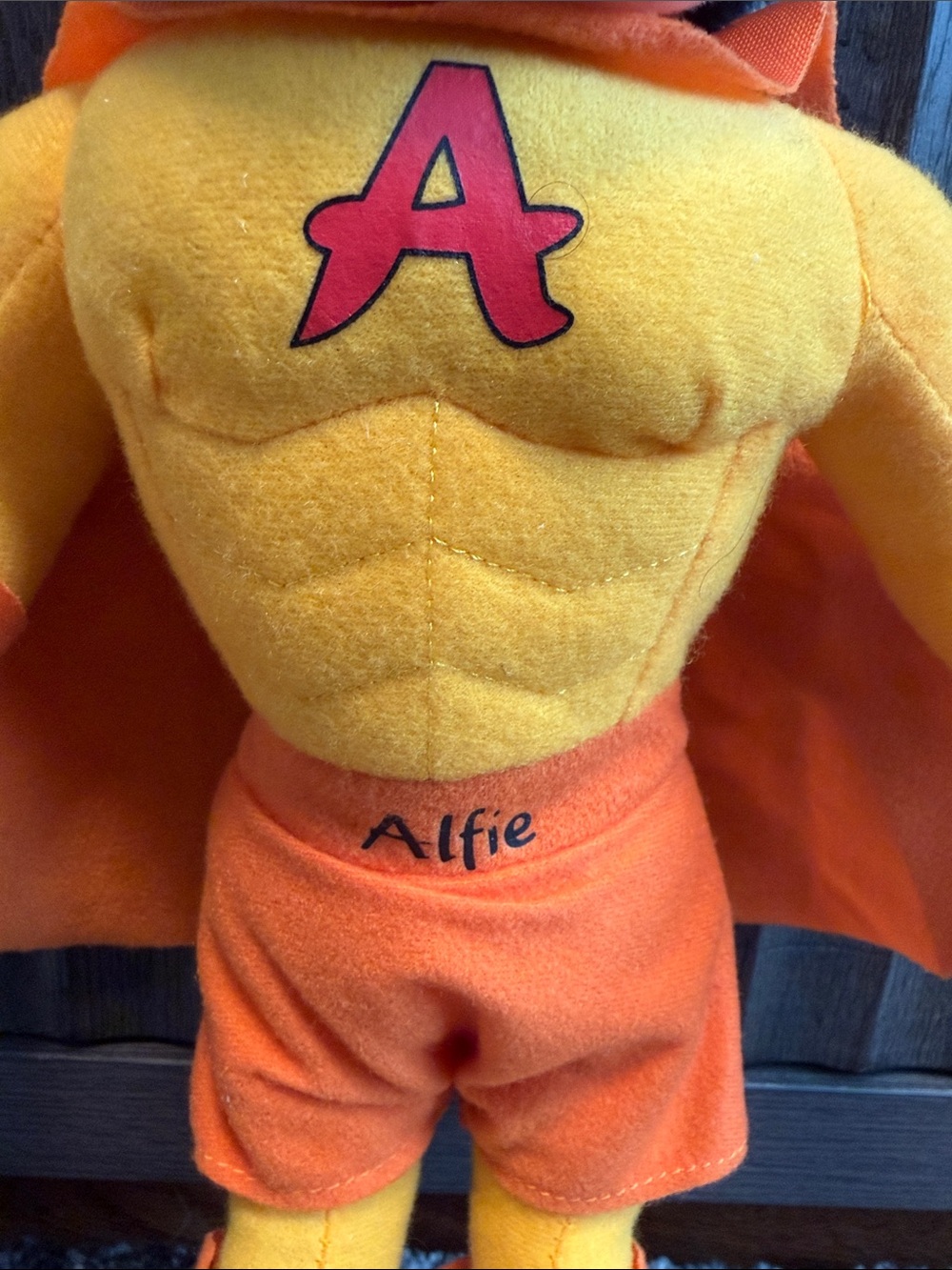 Adventureland Long Island mascot, Alfie stuffed toy EUC! - Picture 3 of 5